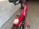 PANTERA ROSA