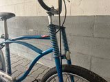 BIANCHI 1973